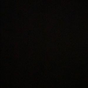 Meet your Posher, Madeleine